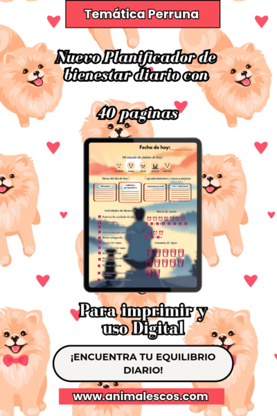 📚Planificador de Bienestar Diario: Patas en la tierra como Canino🐾🦴🌈