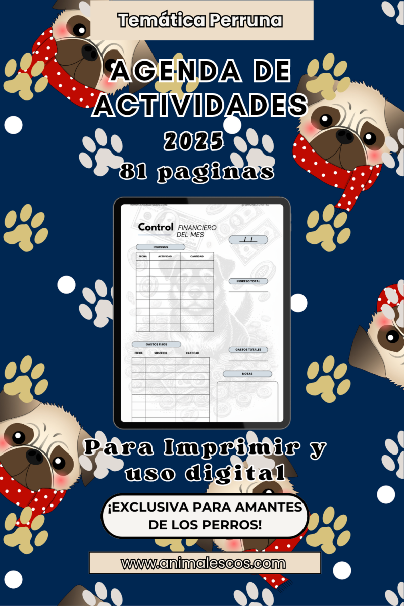 📒Agenda Mensual y Semanal: Perros en Actividad 🐕✅