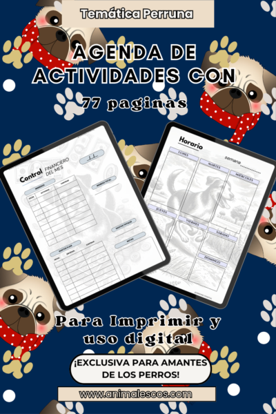 📒Agenda Mensual y Semanal: Perros en Actividad 🐕✅