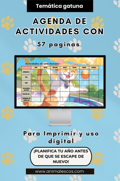 📒Agenda Semanal: Mi Universo Gatuno 😻🌎🌈