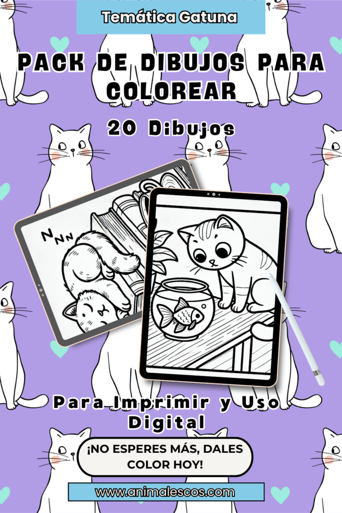 ✍🏻Pack de 20 Imágenes para Colorear – Gatitos en Acción 🐱💥