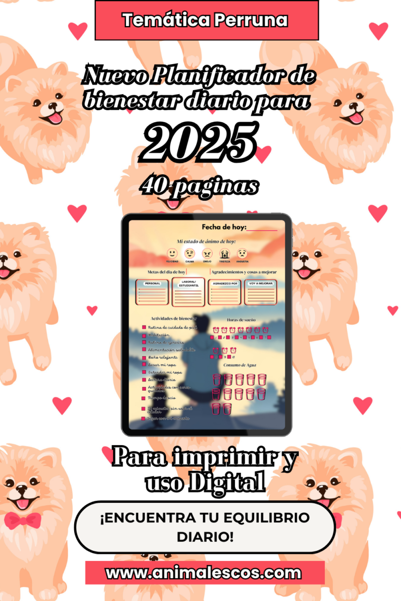 📚Planificador de Bienestar Diario: Patas en la tierra como Canino🐾🦴🌈