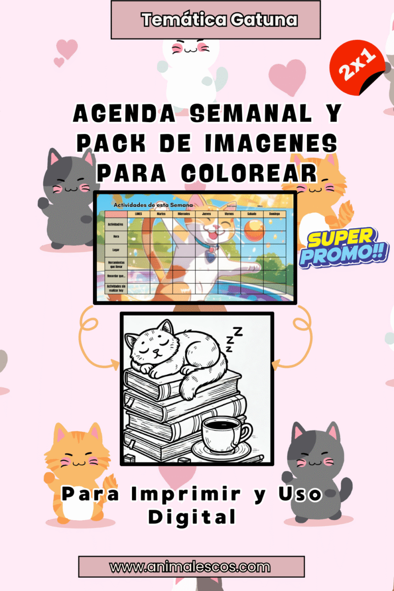 🐱🖍️ Combo Creativo del Michi: Agenda + Dibujos para Colorear