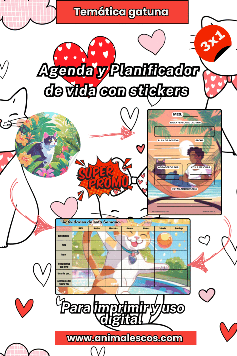 🐱🔥 ¡Combo Gatuno!: Agenda, Planificador y Stickers en un Solo Pack🎉✨