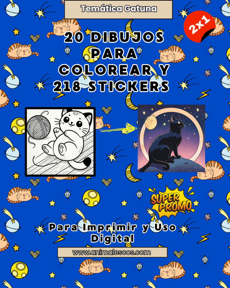 🎨 Combo Gatuno Creativo 2X1: Color y Estilo en Cada Página😻