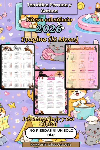 🗓️🐾 Calendario 2026 para Amantes de Gatos y Perros (Formato A4 y A5)🐶😻